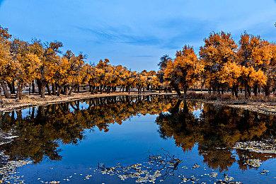 Xbox将举办第二场独立游戏展示会 8月11号凌晨开始